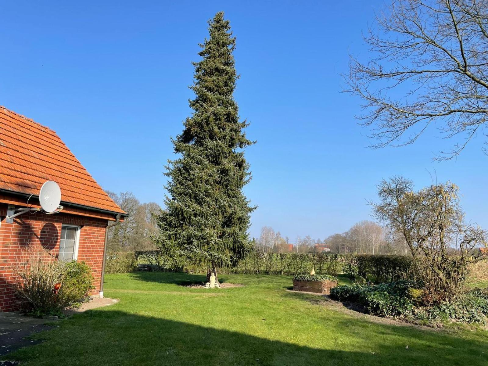 Ferienwohnung Kiebitzheide Beelen 外观 照片